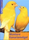 Muntere Kanarienvögel