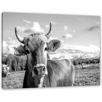 Pixxprint Leinwandbild Neugierige Kuh auf Weide im Allgäu, Monochrome, Neugierige Kuh auf Weide im Allgäu, Monochrome (1 St), Leinwandbild fertig bespannt, inkl. Zackenaufhänger