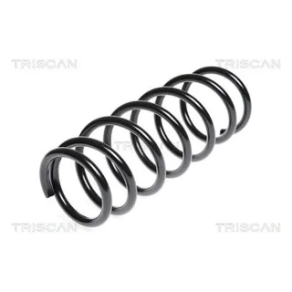 Triscan Feder hinten Opel Agila Suzuki Wagon