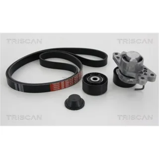 Triscan Keilrippenriemensatz Citroen Fiat Peugeot 864210001