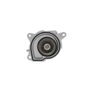 Valeo Wasserpumpe + Dichtung Audi Seat Skoda VW