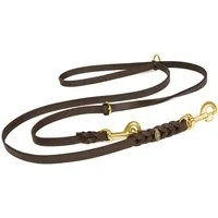 CopcoPet Hundeleine Fettlederleine Hundeleine geflochten dreifach verstellbar Messing, Leder