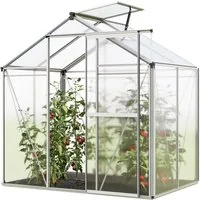 GFP Gewächshaus Jasmin 2