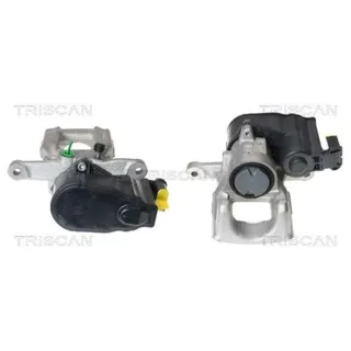 Triscan Bremssattel hinten links Citroen C4 Peugeot 3008 308 5008 8170344930