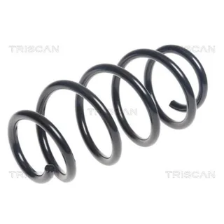 Triscan Feder hinten Mercedes B-Klasse Cla Gla-Klasse