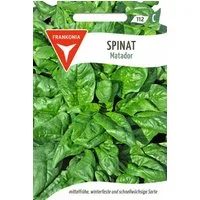 FRANKONIA Gemüsesamen Spinat, Matador - Saatgut Spinat-Samen Samen, Spinacia oleracea