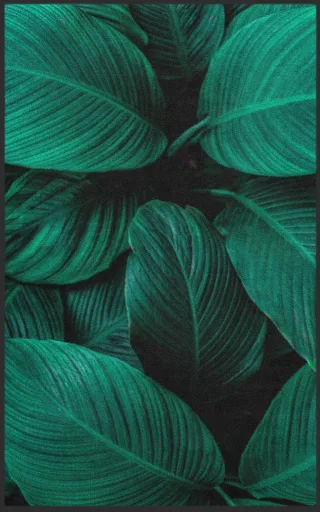 Fussmatte 7543 | Größe: 60 cm x 90 cm