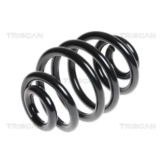 Triscan Feder hinten BMW 3er E46 Coupe Touring