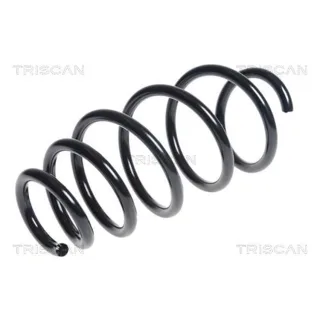 Triscan Feder vorne Opel Zafira 2,0 875024186