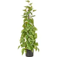 Kunstbaum Philodendron scandens, Creativ green, Höhe 95 cm, in Pyramidenform