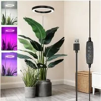 Laybasic Pflanzenlampe 72LEDs Pflanzenlampe Vollspektrum,Garten Zimmergewächshaus Growlight, 35–155 cm höhenverstellbar,Dimmbare Helligkeit,3/9/12H Timer