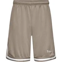 Dropsize Shorts Dropsize Herren Dropsize Logo Mesh Shorts (1-tlg)