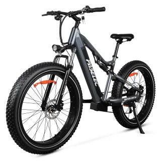 [EU DIRECT] Paselec TX19 PLUS Electric Bike 48V 19.2Ah 500W (Peak 1000W) Motor Recommended Top Speed 25KM/H 26x4.0 Fat T