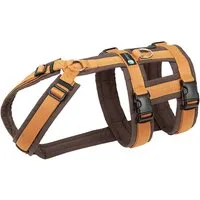 AnnyX Hunde-Sicherheitsgeschirr Brustgeschirr Safety Fun - Sicherheitsgeschirr, Nylon, Individuell einstellbar