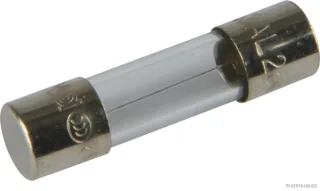 HERTH&BUSS Sicherung, Glas, F flink, 5 x 20mm, 250V max. - 50295054