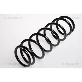 Triscan Feder vorne Suzuki Jimny 1,3 87506923