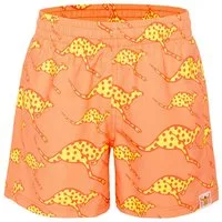 Chiemsee Badeshorts