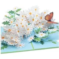 papercrush Geburtstagskarte Gänseblümchen mit Schmetterling Pop-Up Karte