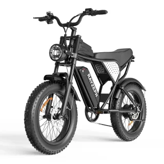 [EU Direct] RAYZEPH C20 Lite Electric Bike, 48V 15.6AH Battery, 1500W Motor, Recommended Top Speed 25KM/H, Front & Rear