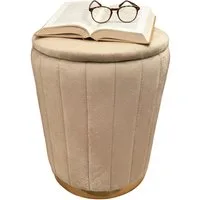 relaxdays Stauraumhocker Hocker aus Samt mit Stauraum, Coffee