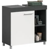 welltime Waschbeckenunterschrank HANO, Badezimmer, WBU, Waschtisch, Kommode, Unterschrank (in 2 verschiedenen Farben und 2 verschiedenen Ausstattungen erhältlich) 1 Tür, 2 höhenverstellbare E-Böden, 4 Fächer, mit Siphonausschnitt