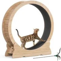 Mondeer Tier-Intelligenzspielzeug Katzenlaufrad, MDF, Tier-Intelligenzspielzeug Laufband für Katzen Innendurchmesser 100cm, Leises Scrollrad und Sicherheitsschloss-Design