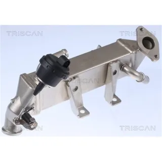 Triscan AGR-K?hler Opel Renault