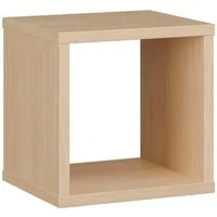 FORTE Regalwürfel Mauro, Regalwürfel, B/H/T 38,2x38,3x32,9 cm, langlebige Beschichtung