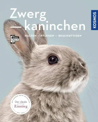 Zwergkaninchen: halten pflegen beschäftigen (Mein Tier)