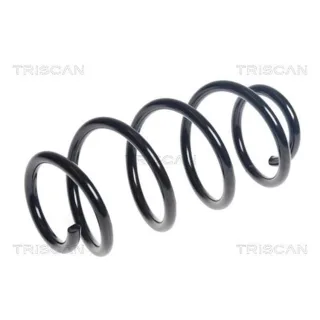 Triscan Feder hinten Mercedes B-Klasse Cla 875023224