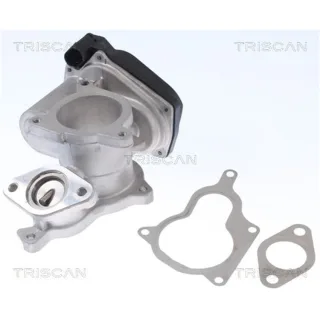 Triscan AGR-Ventil Audi A4 A6 2,0