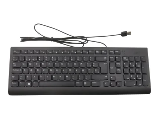 Lenovo Tastatur | 5d50u84465 | USB - QWERTY