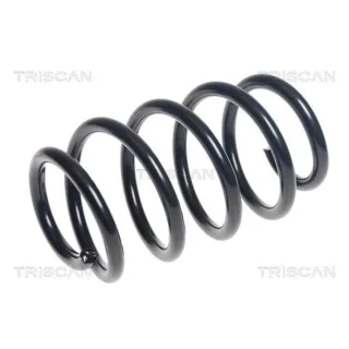 Triscan Feder vorne Audi A3 8P + Sportback