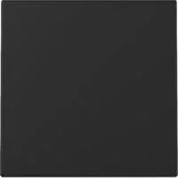 Wippe einteilige Ausführung lackierte matte Oberfläche Kunststoff Thermoplast schwarz (matt), Retail