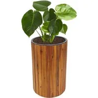 MCW Blumenkasten MCW-L24E, Mit herausnehmbarem Einsatz