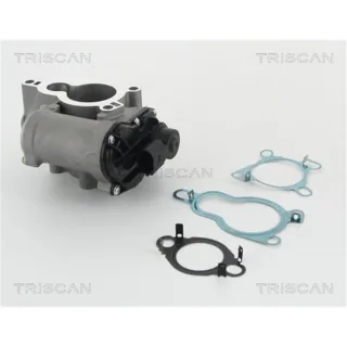 Triscan AGR-Ventil Opel Renault 2,0