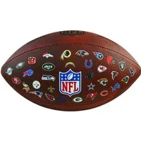 Wilson Football NFL THROWBACK FB 32 TEAM LOGO