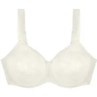 Triumph Minimizer-BH Essential