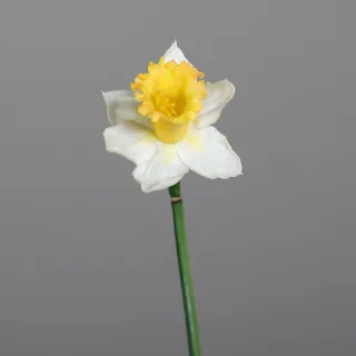Kunstblume Narzisse