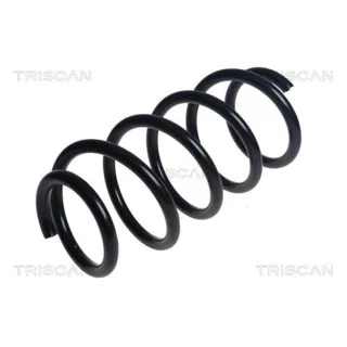 Triscan Feder vorne VW Crafter 2,0 TDI 875029530