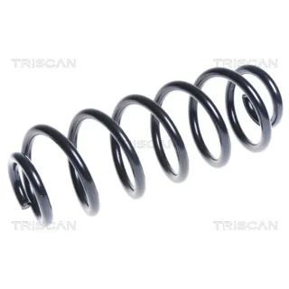 Triscan Feder hinten Audi A3 VW Cc Golf Passat Touran