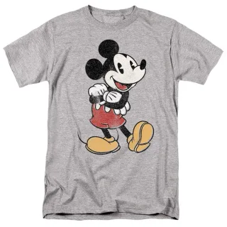 Disney - T-Shirt für Herren (Sport Heide)