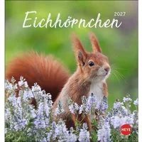 HEYE Wandkalender Eichhörnchen Postkartenkalender 2027