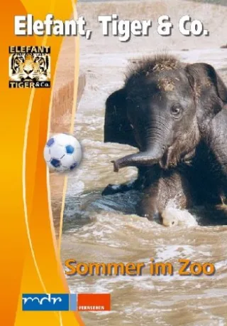 Elefant Tiger & Co. Teil 06 (Sommer im Zoo)