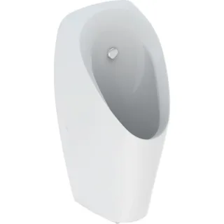 Geberit Urinal Tamina, mit integrierter Steuerung, Netzbetrieb, 116142001 116142001