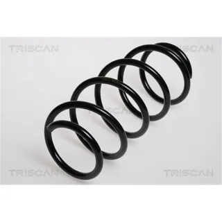 Triscan Feder vorne Opel Corsa C 875024029