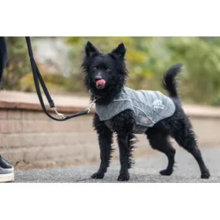 Wolters Fleecejacke Dogz-Wear, Hundejacke grau 38 cm