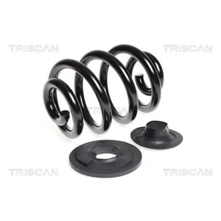 Triscan Feder hinten VW Transporter T4 87502997A