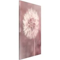 Bilderdepot24 Magnettafel Küche rosa Pusteblume Bokeh rosa, (1-tlg., Magnetboard Pinnwand für die Wand - metallische Tafel für Magnete), Magnetwand groß mit Motiv Büro Memoboard magnetisch
