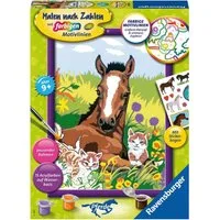 Ravensburger Malen nach Zahlen Süße Tierkinder, Pferd, Made in Europe